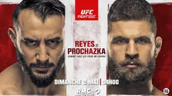 MMA : Ultimate Fighting Championship