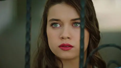 Casting Mme Fazilet et ses filles