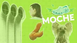 Moche