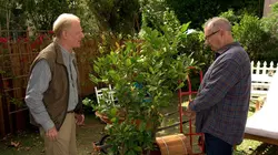 Modern Family  S10E09 Les belles promesses