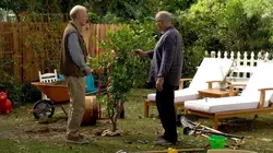 Modern Family  S10E09 Les belles promesses