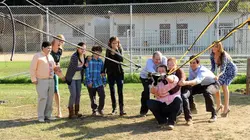 Modern Family S03E09 Lancer de citrouille en streaming