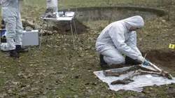 Modern Murder : Parasomnie