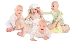 Module zap  Bébés 2