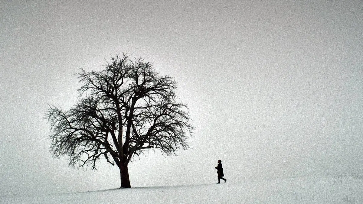 Moi, Albrecht Dürer