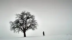 Moi, Albrecht Dürer