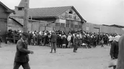 Moissons sanglantes - 1933, la famine en Ukraine