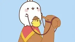 Molang S01E03 Le dromadaire