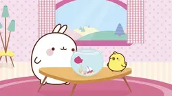Molang  S03E27 Un nouveau copain