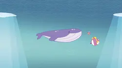 Molang S03E17 La baleine