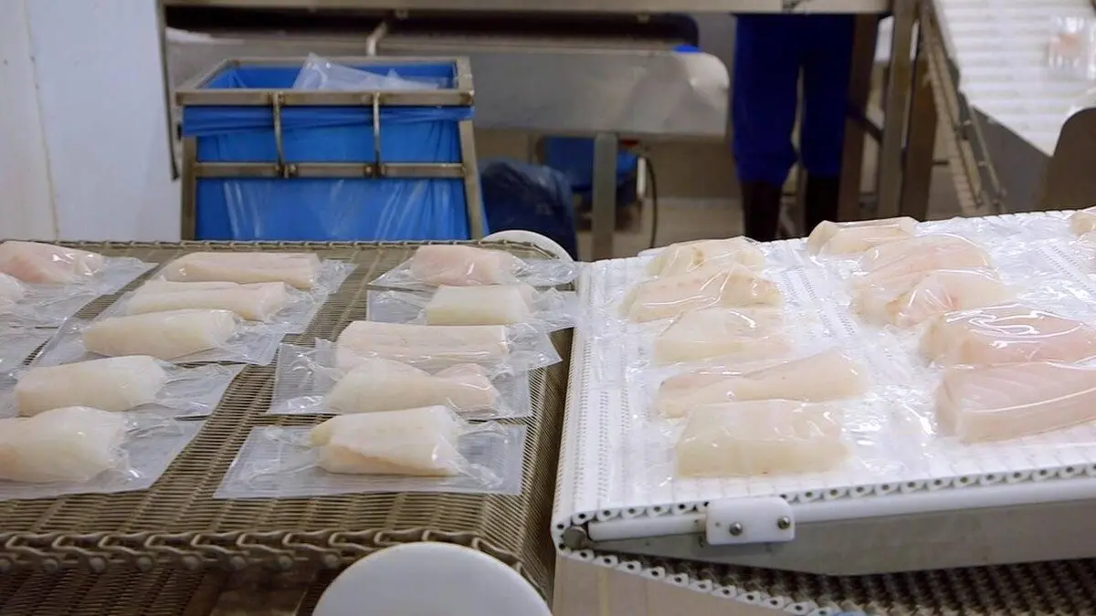 Audiences TV : Mollo sur le cabillaud ?