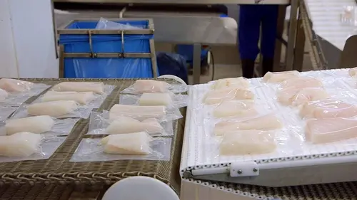 Mollo sur le cabillaud ?