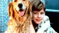 Visuel de Mon ami Sam