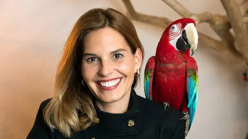 Mon animal et moi Cheval, varan et chien