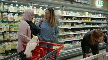 Avni et les pigeons, Romy et Caprice