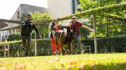 Mon animal fait la loi