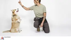 Mon animal fait la loi