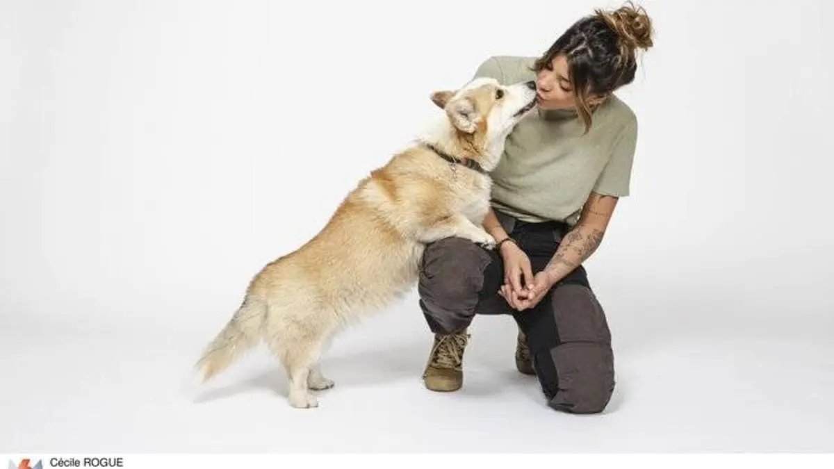 Audiences TV : Mon animal fait la loi