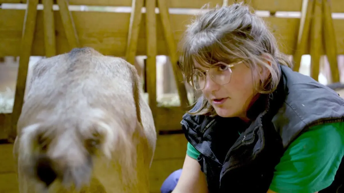 Mon année de volontariat écologique Les premiers doutes