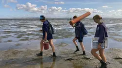 Visuel de Mon année de volontariat écologique