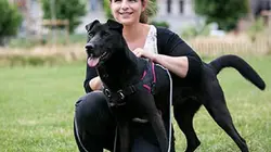 Visuel de Mon chien, ce héros : destins croisés