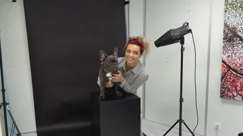 Mon maître est une célébrité