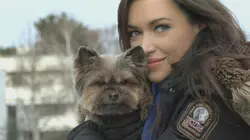 Mon maître est une célébrité