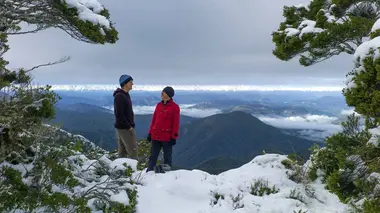 De Picton au lac Coleridge: prévoir son fil de fer de 4mm