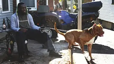 Attention, chien méchant