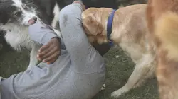 Mon voisin, ce tueur  S06E08 Meilleurs ennemis