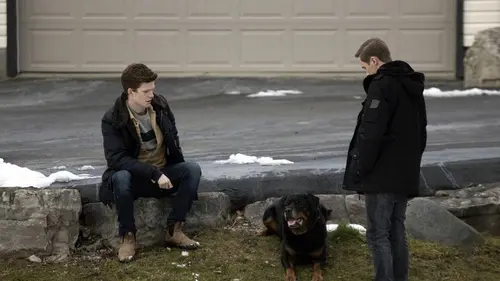 Mon voisin, ce tueur S07E11 Loi et désordre