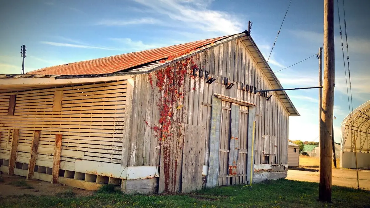 Mon voisin le tueur Etoile tombée du ciel