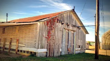 Etoile tombée du ciel