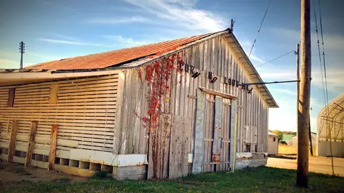 Casting Mon voisin le tueur Etoile tombée du ciel