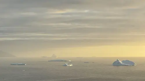 Casting Mondes sauvages