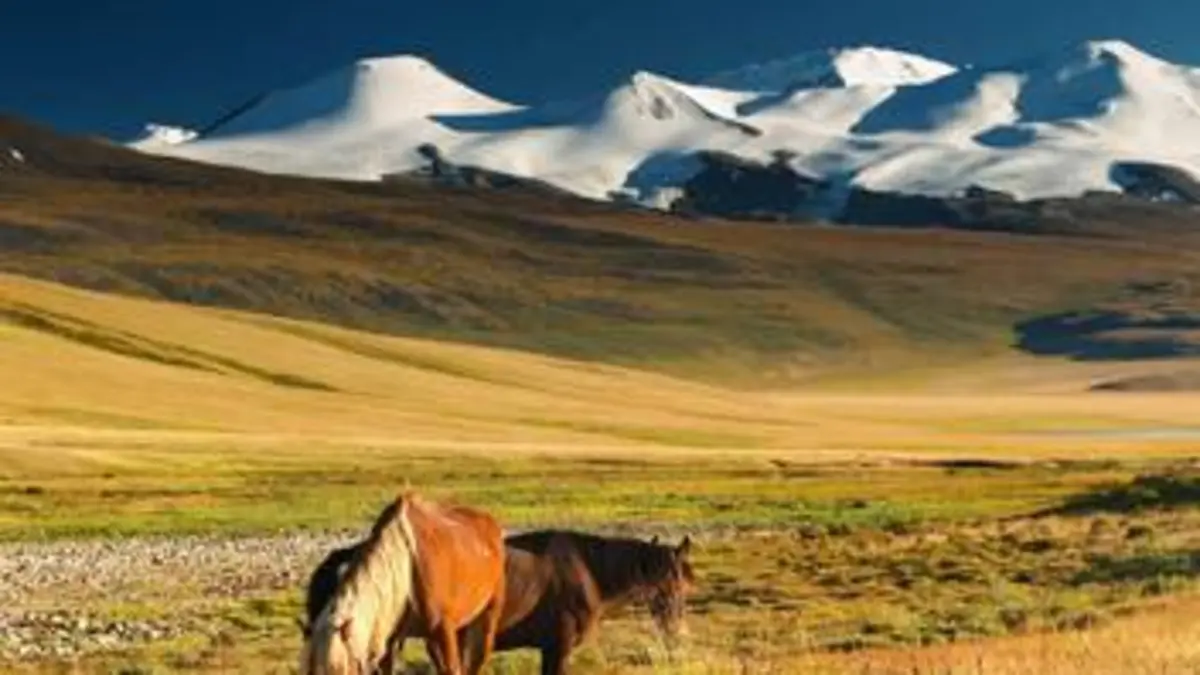 Mongolie, la chevauchée sauvage