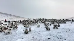 Mongolie, une épopée nomade