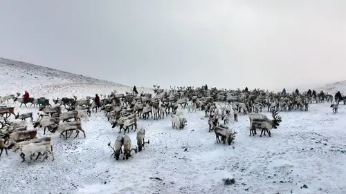 Mongolie, une épopée nomade Le peuple rennes