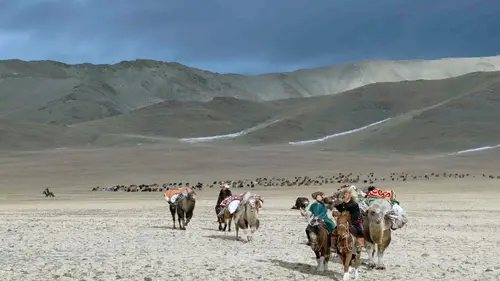 Mongolie, une épopée nomade