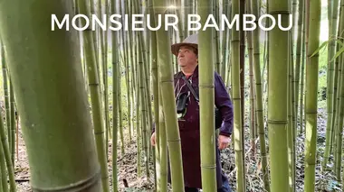 Monsieur Bambou