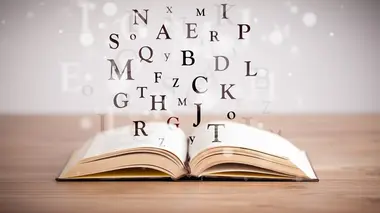 Monsieur dictionnaire