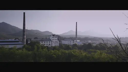 Monsieur Li : Trafiquant d'armes