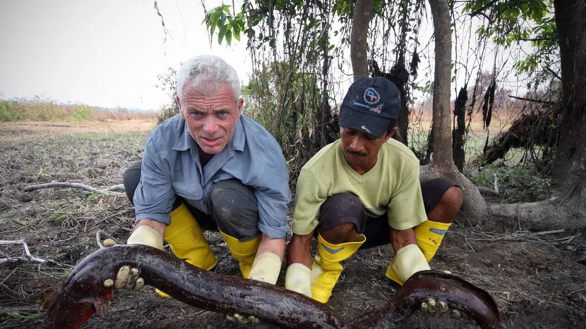 Monstres d'eau douce S07E02 Carnage en Afrique