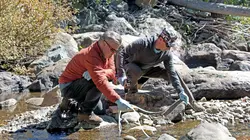 Monstres & légendes