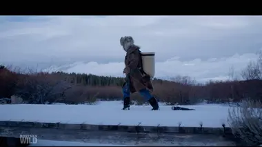 Montana Wild S01E05 Sur la piste des pumas