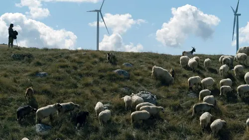 Monténégro : La bergère et le vent du changement