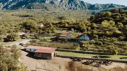 Monténégro, pour l'amour des ânes