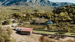 Monténégro, pour l'amour des ânes