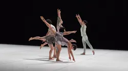 Montpellier Danse 2019