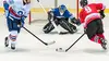 Montréal Canadiens / Boston Bruins Hockey sur glace NHL 2018/2019